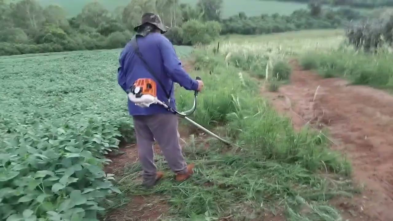 Limpando O Mato Da Divisa!!!!
