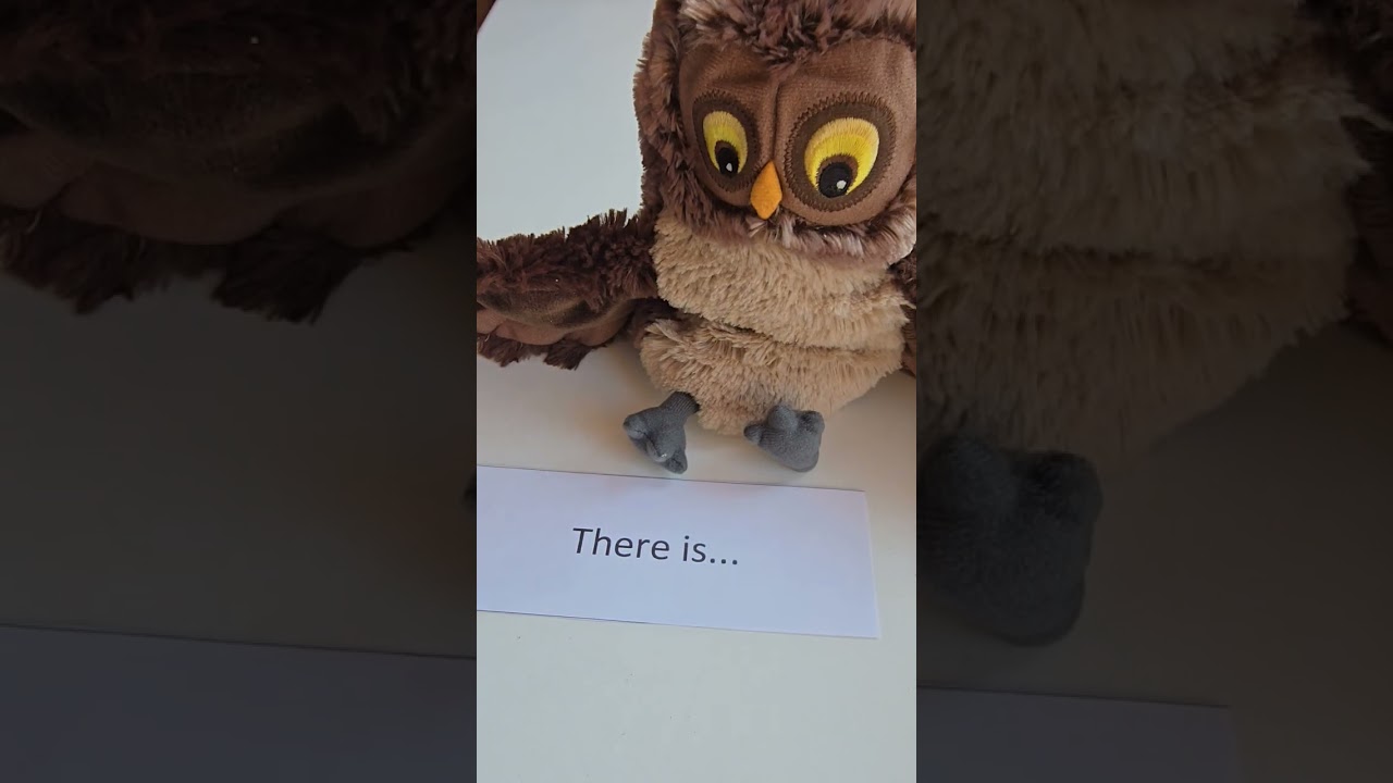 LET'S PLAY WITH TOYS & LEARN ENGLISH GRAMMAR 