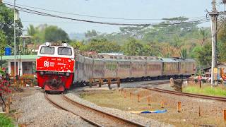 KERETA API PANJANG‼️ MENEMUKAN 27 KERETA API NGEBUT DI PERLINTASAN DAN JALUR LURUS