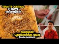 கரையான் தொல்லைக்கு முடிவு | Termite Control Treatment in Home | Mano's Try Tamil Vlog