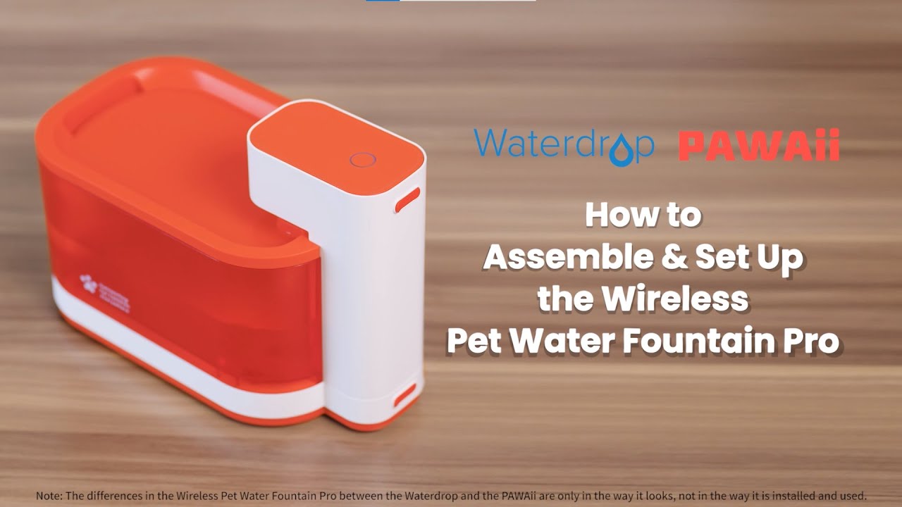 How to Use PAWAii Wireless Pet Water Fountain Pro?