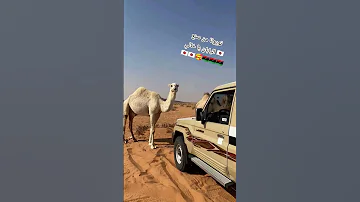 الحديد من صنع اليابان يا خالي 