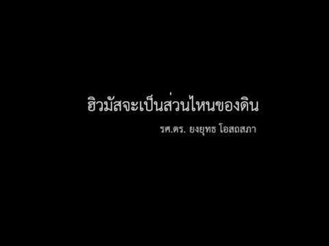 ฮิวมัสจะเป็นส่วนไหนของดิน