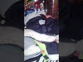 Видео блог 2017 год