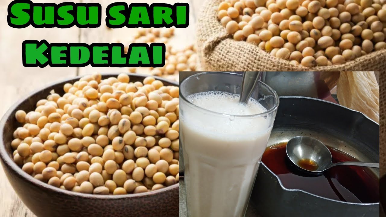 Cara Membuat Sari Kedelai Yang Benar dan Enak 