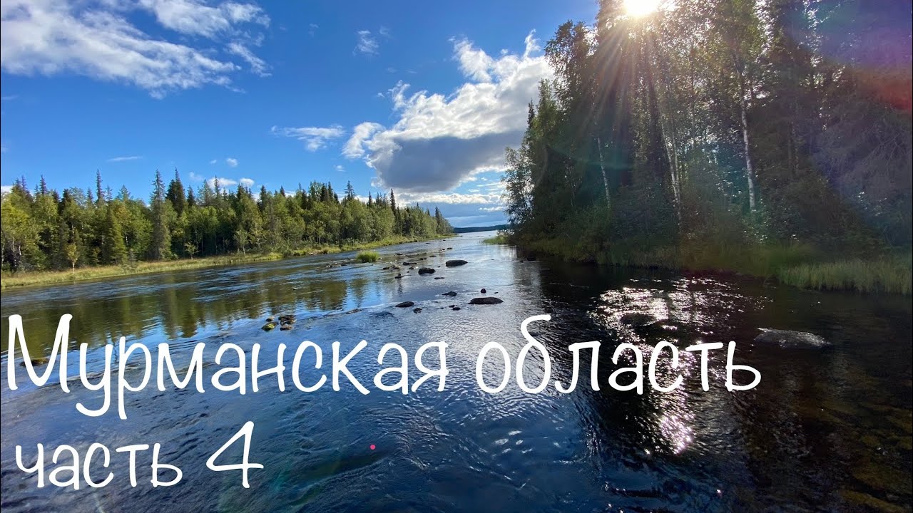 ФОРЕЛЬ в ТАЙГЕ. РЫБАЛКА за Полярным кругом. Дикая река ч. 4 - YouTube