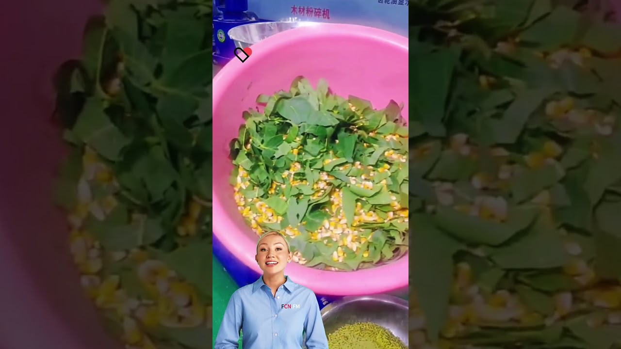 Animal feed pellet making machine price in factory 