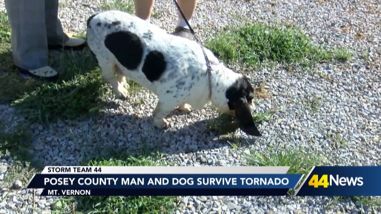 A Posey County man and dog survive the tornado