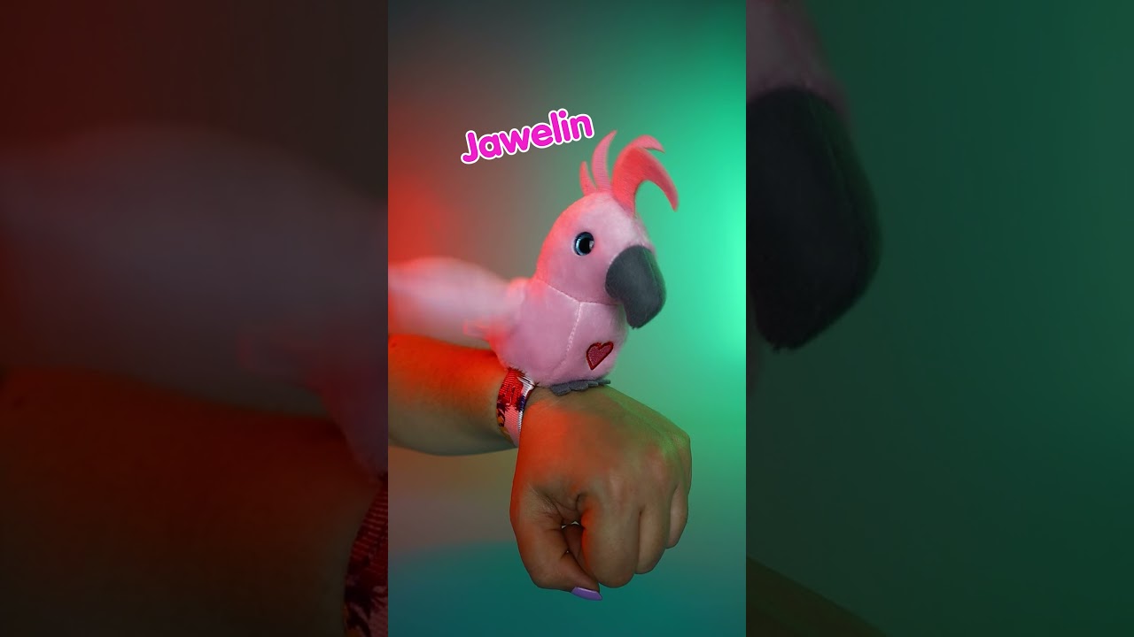 Happy Yappers 🦜🎃 ¡Los loros más graciosos celebran Halloween!