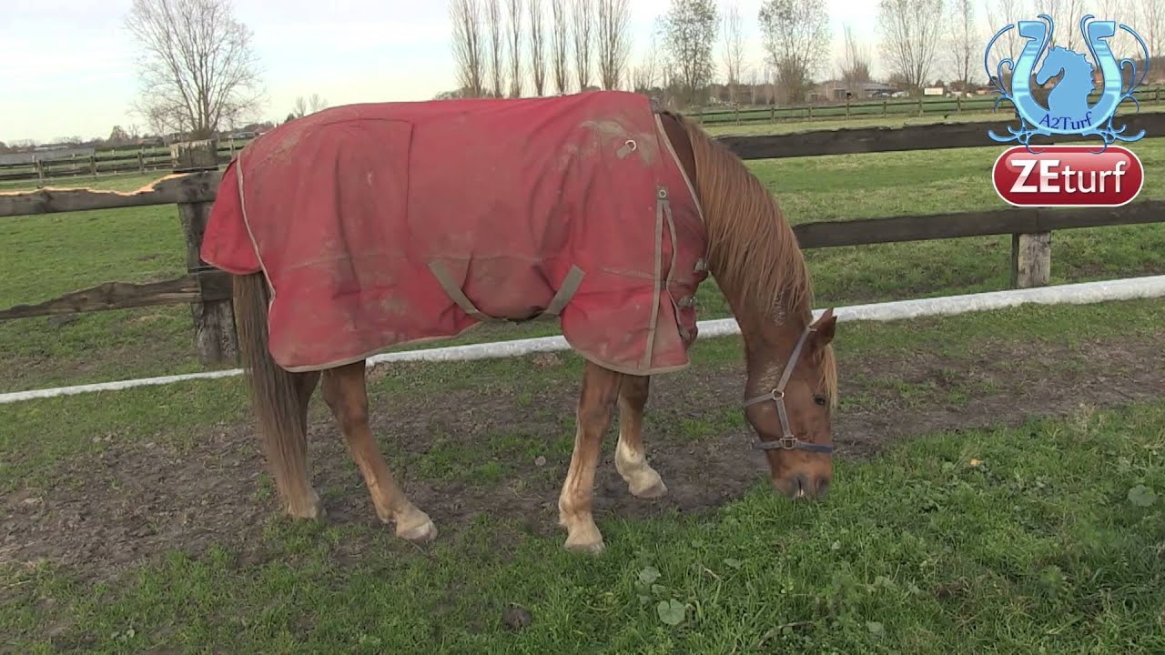 Tour de cour chez Lieven DE GROOTE (Part 1) - A2TURF.COM