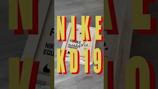 KD 19 Detailed Look