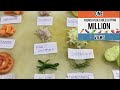 Basic Vegetable cut's | French Vegetable Cuts | first year basic Vegetable cutting class|ihm|