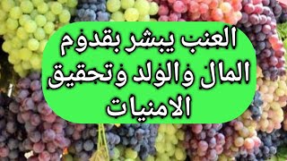 تفسير حلم العنب لابن سيرين|للحامل|الاسود|الاخضر|الاصفر|الاحمر|للمتزوجة|للعزباء|رؤية قطف العنب المنام