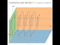 Inspired by Euler identity