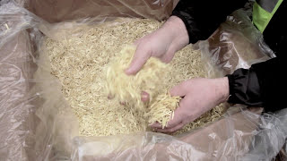 Surface-Tech ACE XP Polymer Fiber