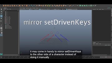 mirror setDrivenKeyframe