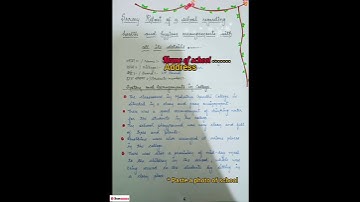 B.ed ist semester file|health and hygiene|philosophy|english