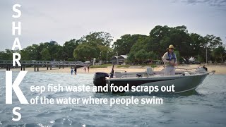 SharkSmart – keep fish waste and food scraps out of the water where people swim screenshot 3