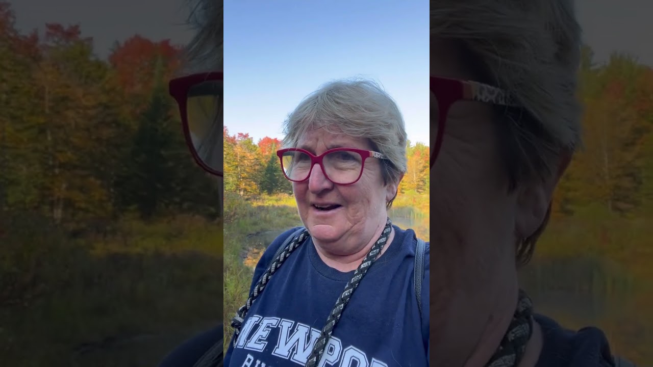 Когда начинается негативный внутренний диалог, мы можем вернуться к настоящему моменту и признать...