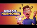 ما هي الهرمونات وكيف تعمل داخل جسمك 