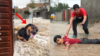 Zoo Mein Flood Agea Talli Doob Gya