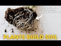 Building Great Soil Starts with Adding Plants (Don't Overthink It!)