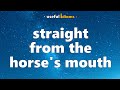 Idiom 92  straight from the horses mouth