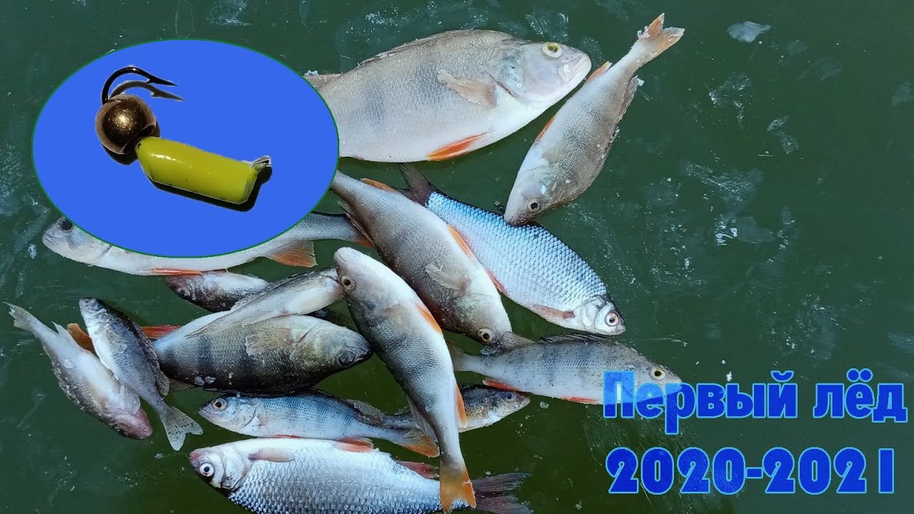 ПЕРВЫЙ ЛЁД | ЭТУ БЕЗМОТЫЛКУ НАДО ЗАПРЕТИТЬ | ЗИМНЯЯ РЫБАЛКА 2020-2021