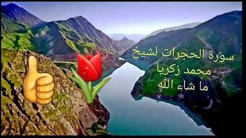 Сура Ал-Худжурот  سورة الحجرات لشيخ محمد زكريا