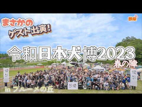 【キャンピングカーで柴犬と行く】令和日本犬博2023春の陣