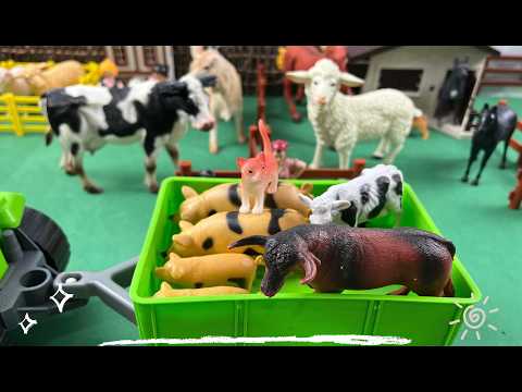 CAT, COW, OX, HORSE, DOG, GOAT, SHEEP, TRACTOR, TRUCK / GATO, VACA, BOI, CAVALO, CABRA, CARRETA