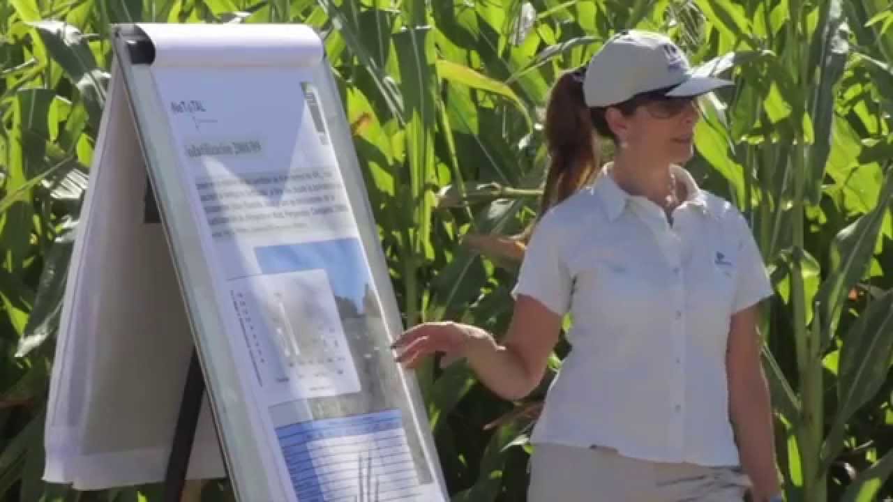 Suelos, ¿futuro sustentable ? camera iphone 8 plus apk