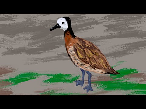 White Faced Whistling Duck - Digital Painting Outdoors #33 - White Faced Whistling Duck - Digital Painting Outdoors #33