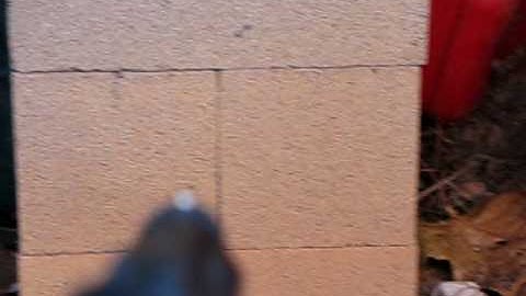 Exploding airsoft bb 2