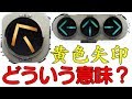 【黄色矢印信号】これは車が従うのか！？さては！