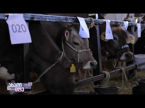 #ახალიდღე „მესაქონლეობის ექსპო - 2022“ თბილისში