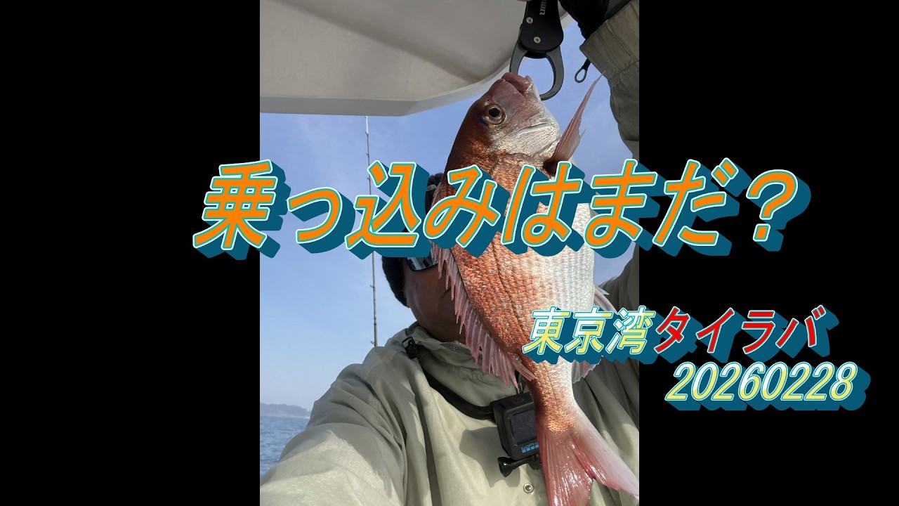 乗っ込みはまだ？東京湾タイラバ20260228