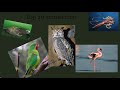 🌍 Top 20 Animal Facts – Part 1 | Animal Amazing World