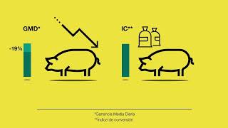 Impacto Económico - Porcilis® ILEITIS Impacto Económico - Porcilis® ILEITIS