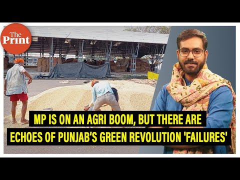 कृषि क्षेत्र में तेजी से बढ़ रहा MP लेकिन Punjab की हरित क्रांति की विफलताओं की सुनाई दे रही गूंज