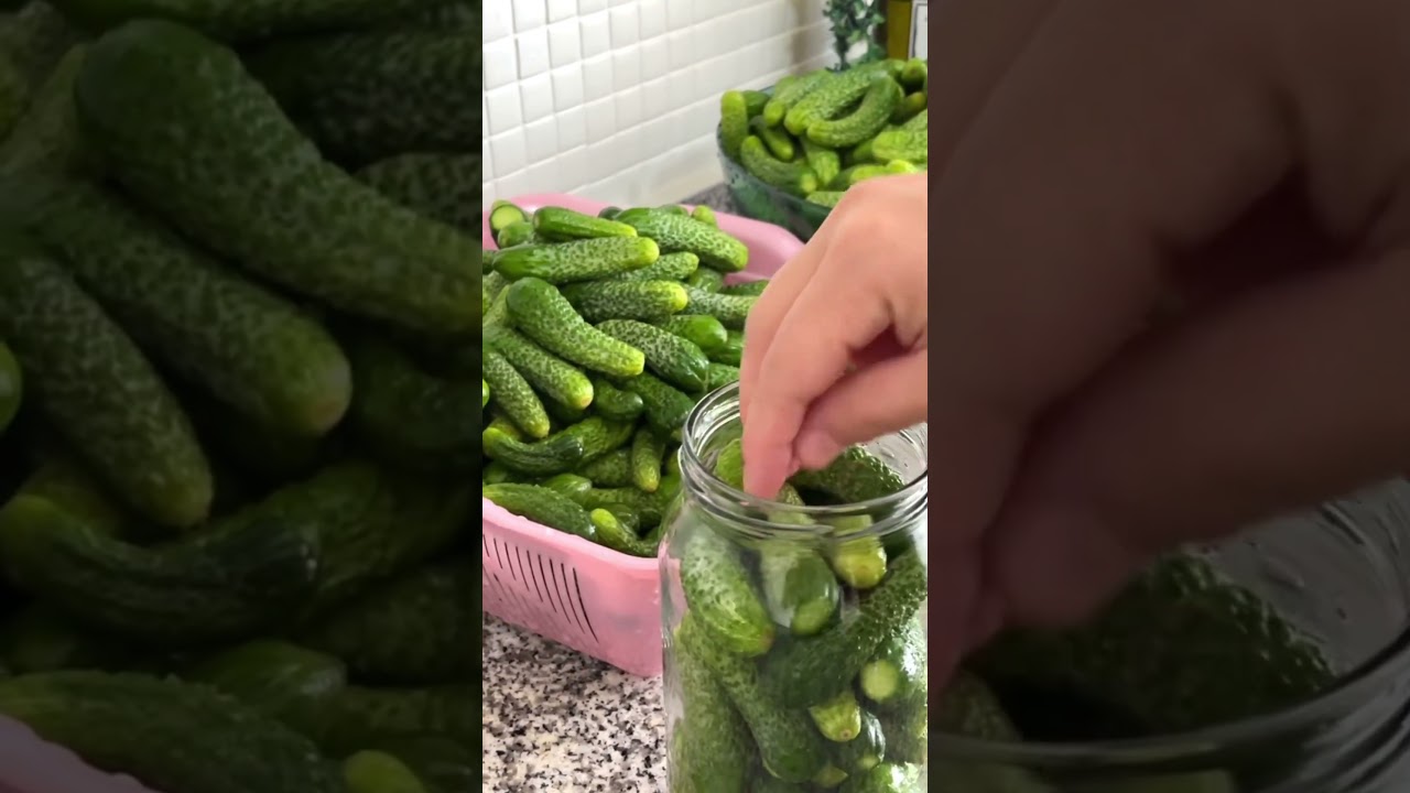 En iyi turşu sirke ile olur, turşu almaya son, kolay turşu tarifi, kışlık hazırlık #mavice #keşfet