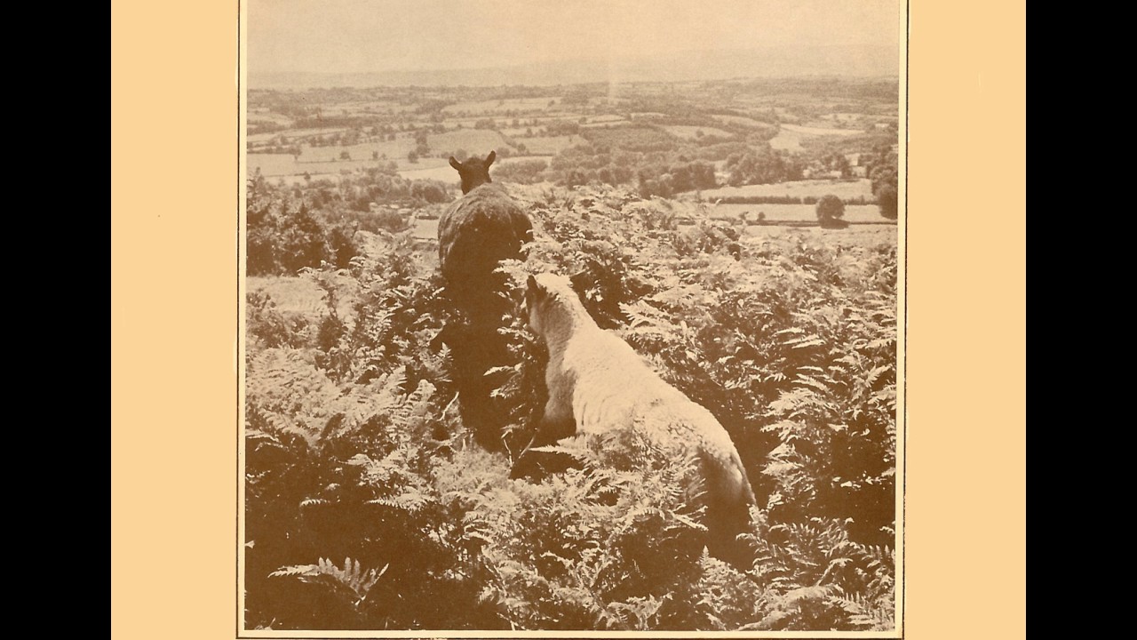 Natural Beauty free robux