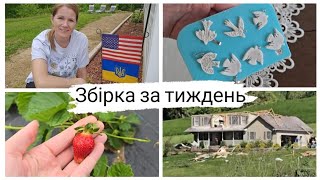 ТОРНАДО В ПЕНСИЛЬВАНІЇ. Збираю перший врожай полуниці 🍓 Новий вид рукоділля. Магазин Hobby Lobby.