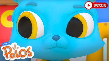 Curious Nash | Adventure Learning | MarcoPolo World School | Learn At Home