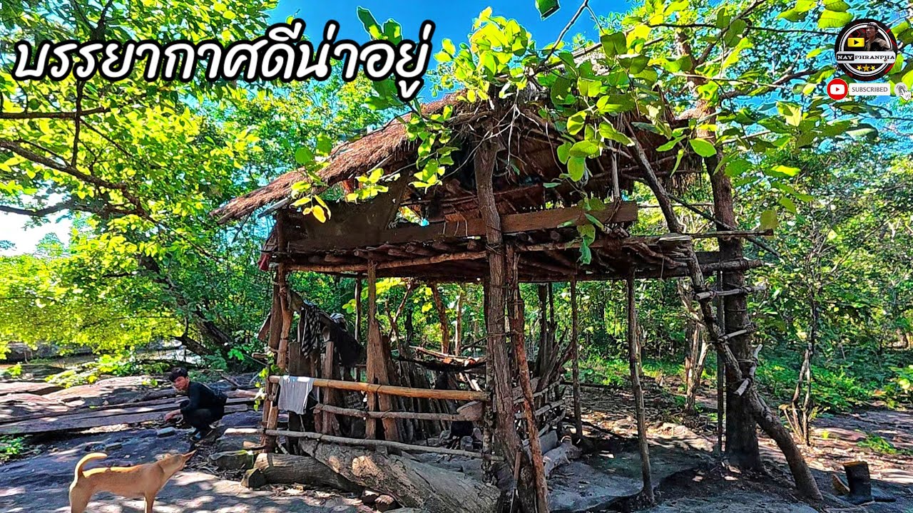 ย้ายที่พักพบกระท่อมกลางป่า/ຍ້າຍທີ່ພັກພົບກະທ່ອມກາງປ່າ