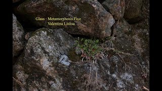 Glass : Metamorphosis Five