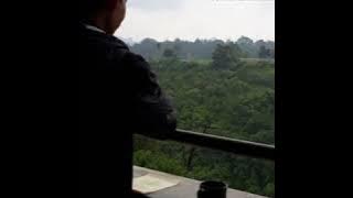 Tataplah Mata Ini Cool Colors