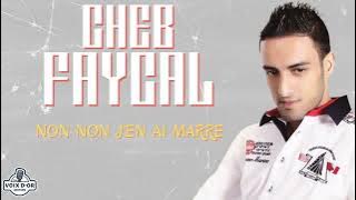 Cheb Faycal - Non non j'en ai marre