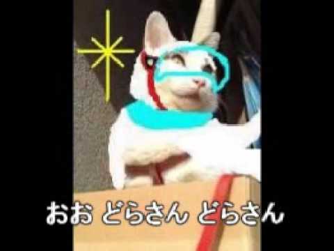 ガッチャニャンどら