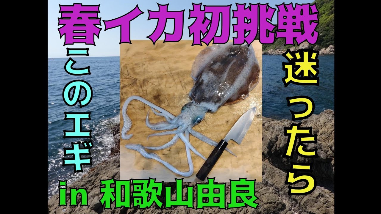 Eging] First attempt at squid fishing in spring in Wakayama - YouTube